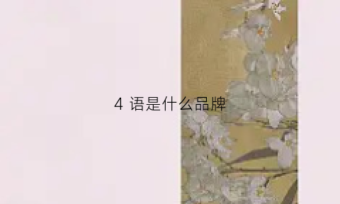 4语是什么品牌(四语是什么)